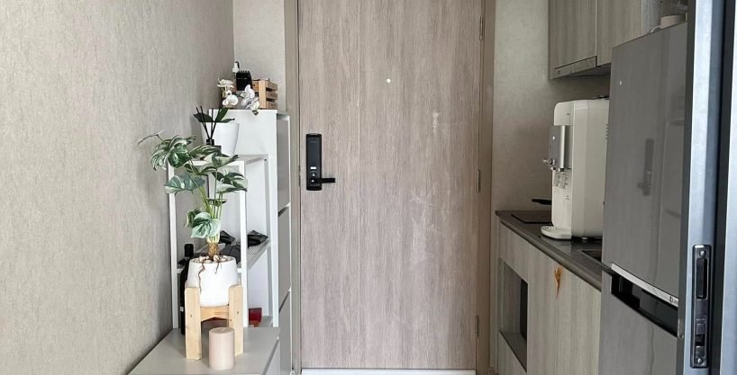 1 bedroom condo for rent at The Tree Pattanakarn - Ekkamai. 30 sqm unit in Bangkok. Contact BACH Bangkok for more information.