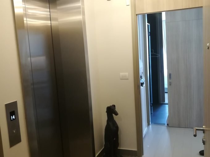 2 bedroom condo for sale at Noble Ploenchit. 69.95 sqm unit in Bangkok. Contact BACH Bangkok for more information.